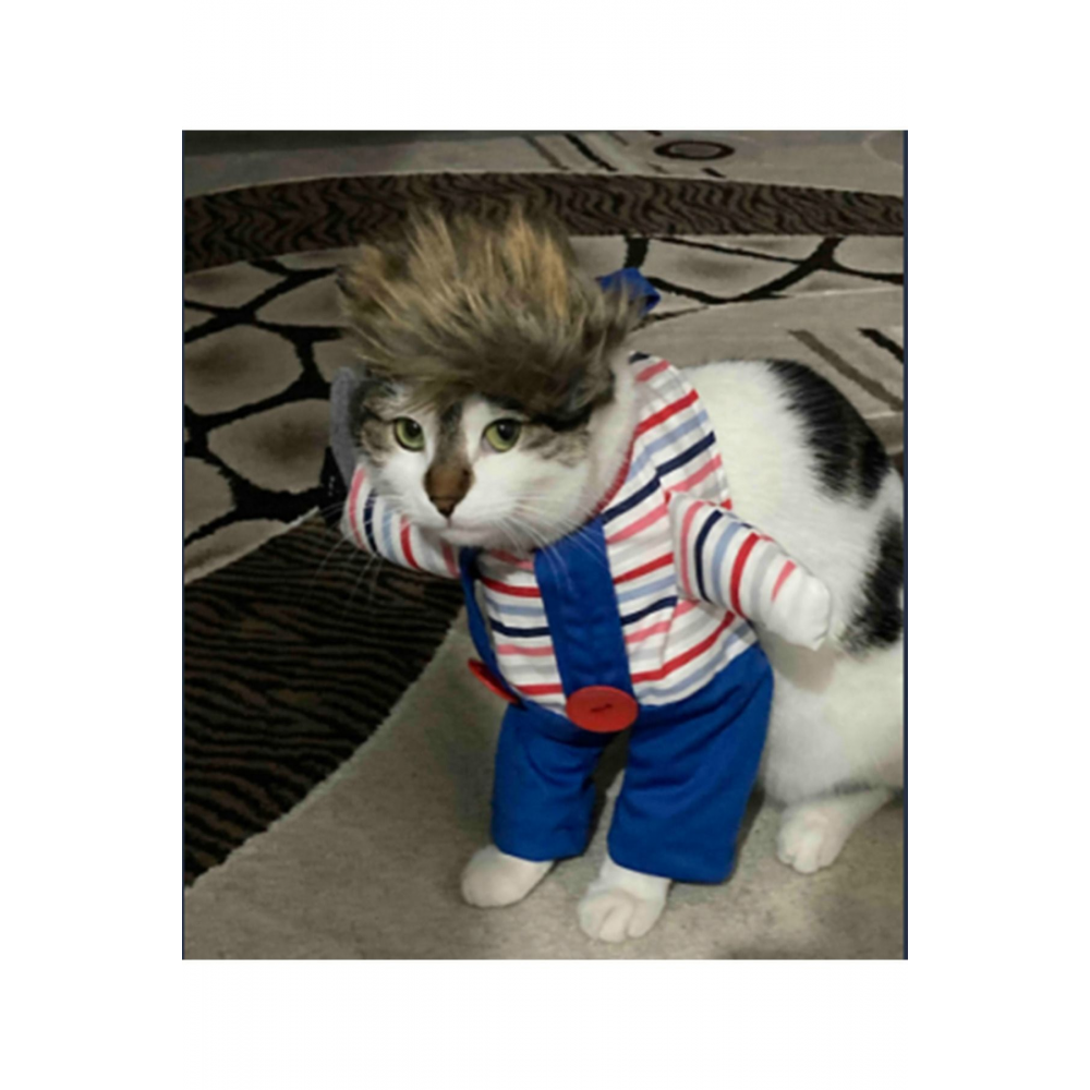 Katil Bebek Chucky (0-2 KG) Kedi Kostümü - Xxs