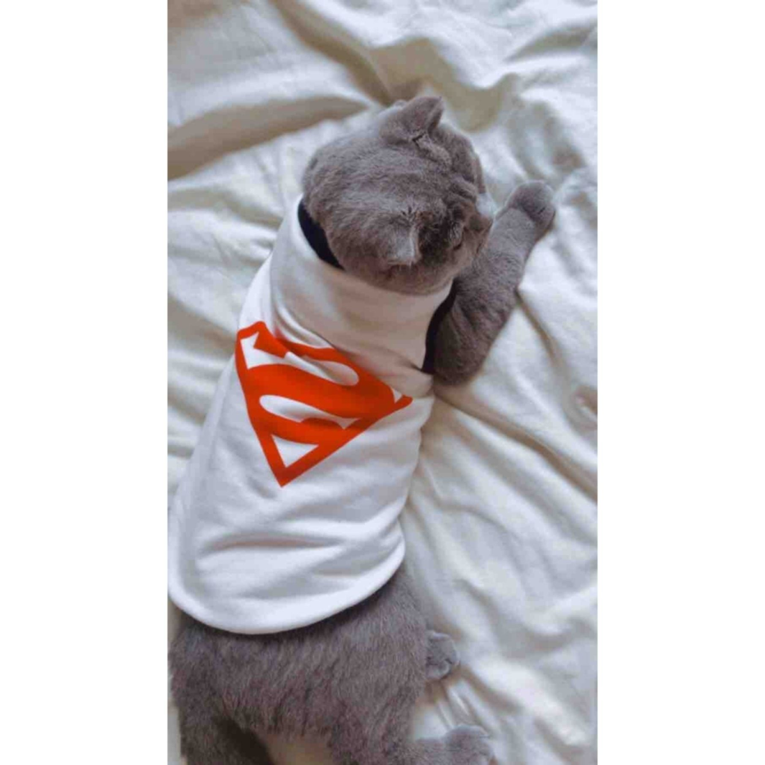 Polar Köpek e Kedi Kıyafeti - Beyaz  S Beden