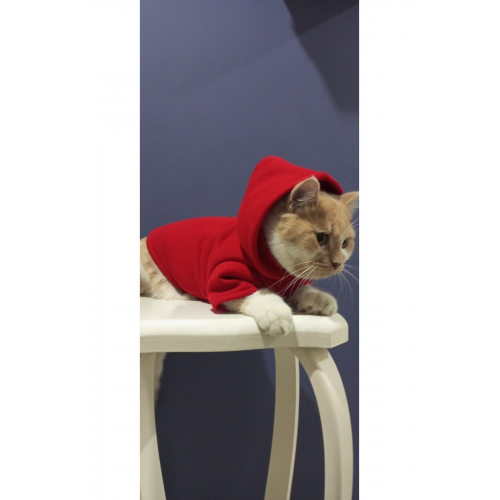 Tuğba Fashion Kışlık Yeni Sezon Kapşonlu Sweatshirt (M) Beden (2-4) Kg Için Uygundur