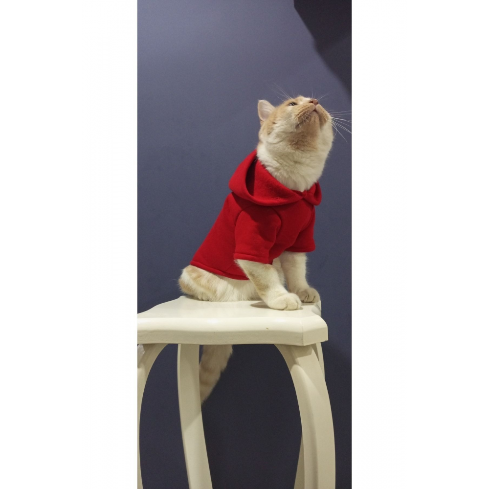 Tuğba Fashion Kışlık Yeni Sezon Kapşonlu Sweatshirt (M) Beden (2-4) Kg Için Uygundur