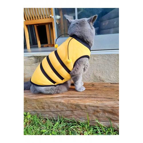 Yeni Sezon Köpek Ve Kedi Kıyafeti - Arı Maya - M Beden