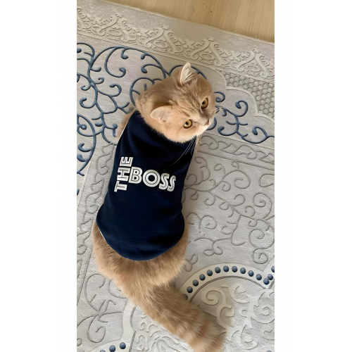 Yeni Sezon Polar Kedi Ve Köpek Kıyafeti  Lavicert The Boss M Beden