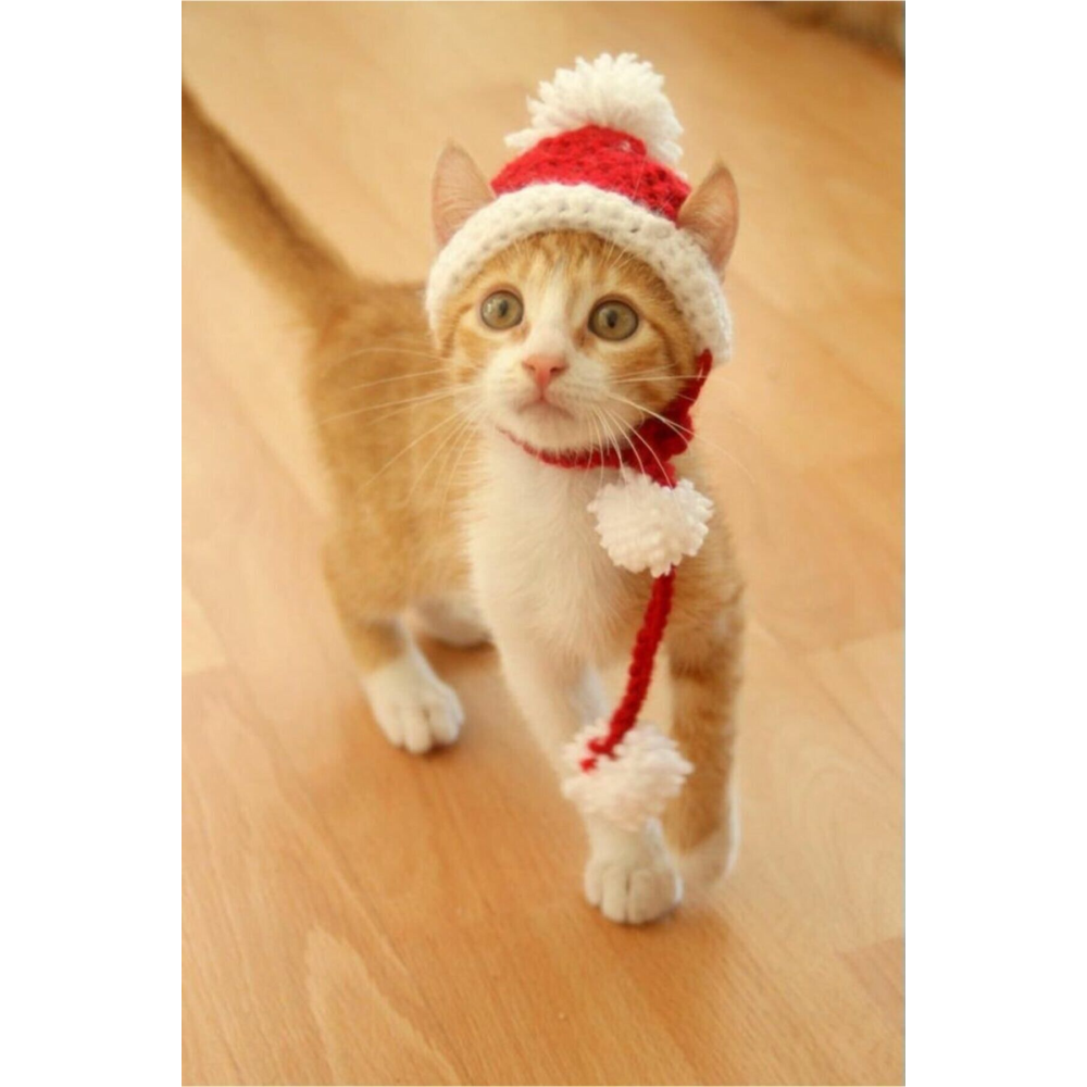 Yılbaşı ,büyük Boy Yetişkin Kedi Boy,noel Baba Kedi Şapkası & Kedi Kıyafeti ,ölçünüze Özel Üretim