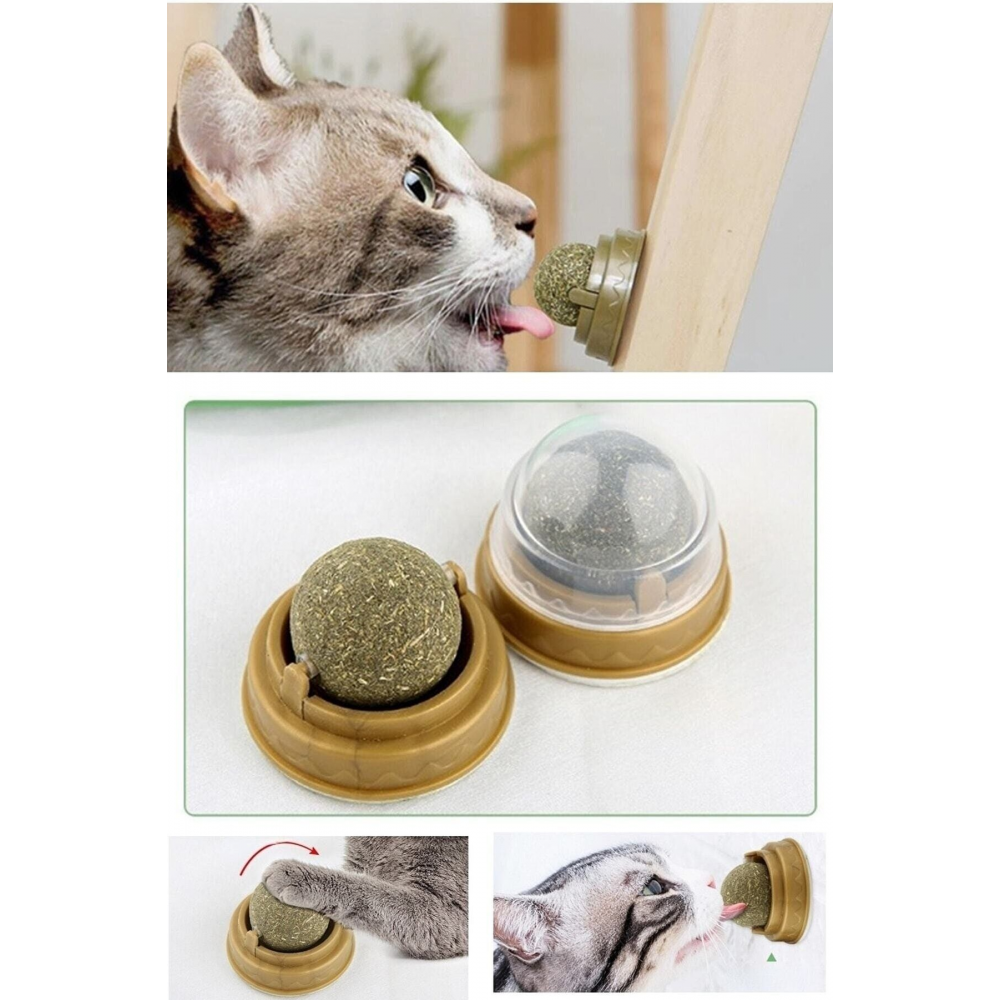 Catnipli Yenilebilir Kedi Nanesi Otu Oyun Topu Oyuncağı