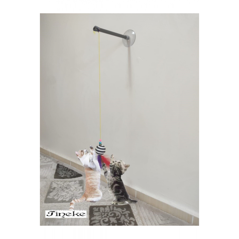 Vantuzlu Kedi Oltası Kedi Oyuncağı