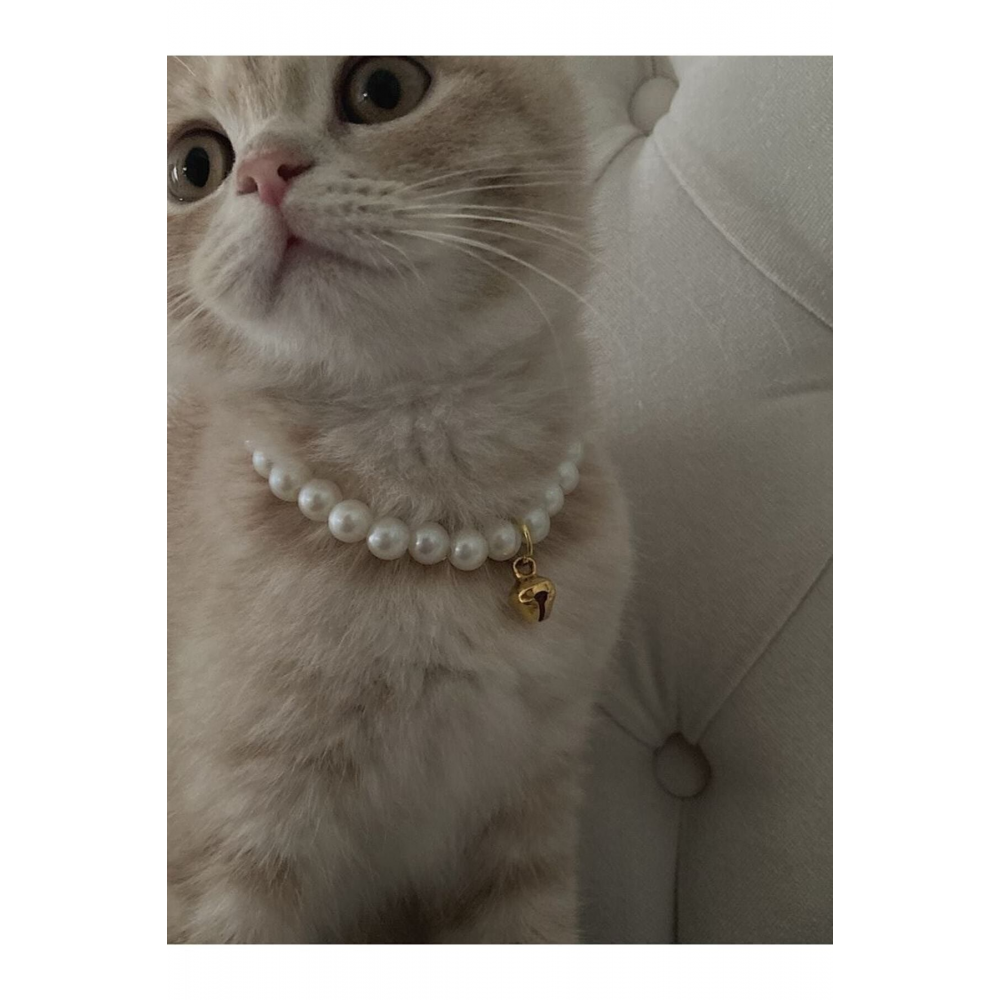 Hanedan Home Incili Kedi Tasması