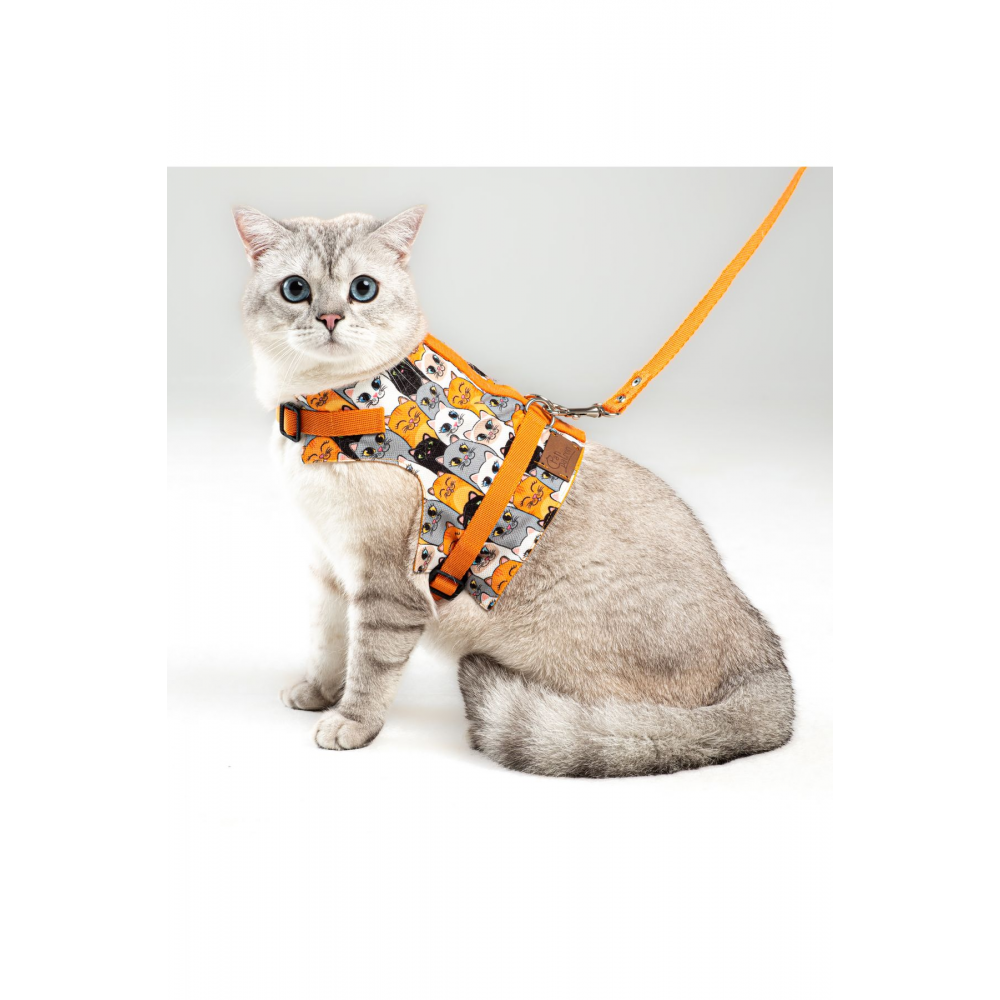 Kaçış Önleyici Kedi Gezdirme Tasması Ve Küçük Irk Köpek Gezdirme Tasması