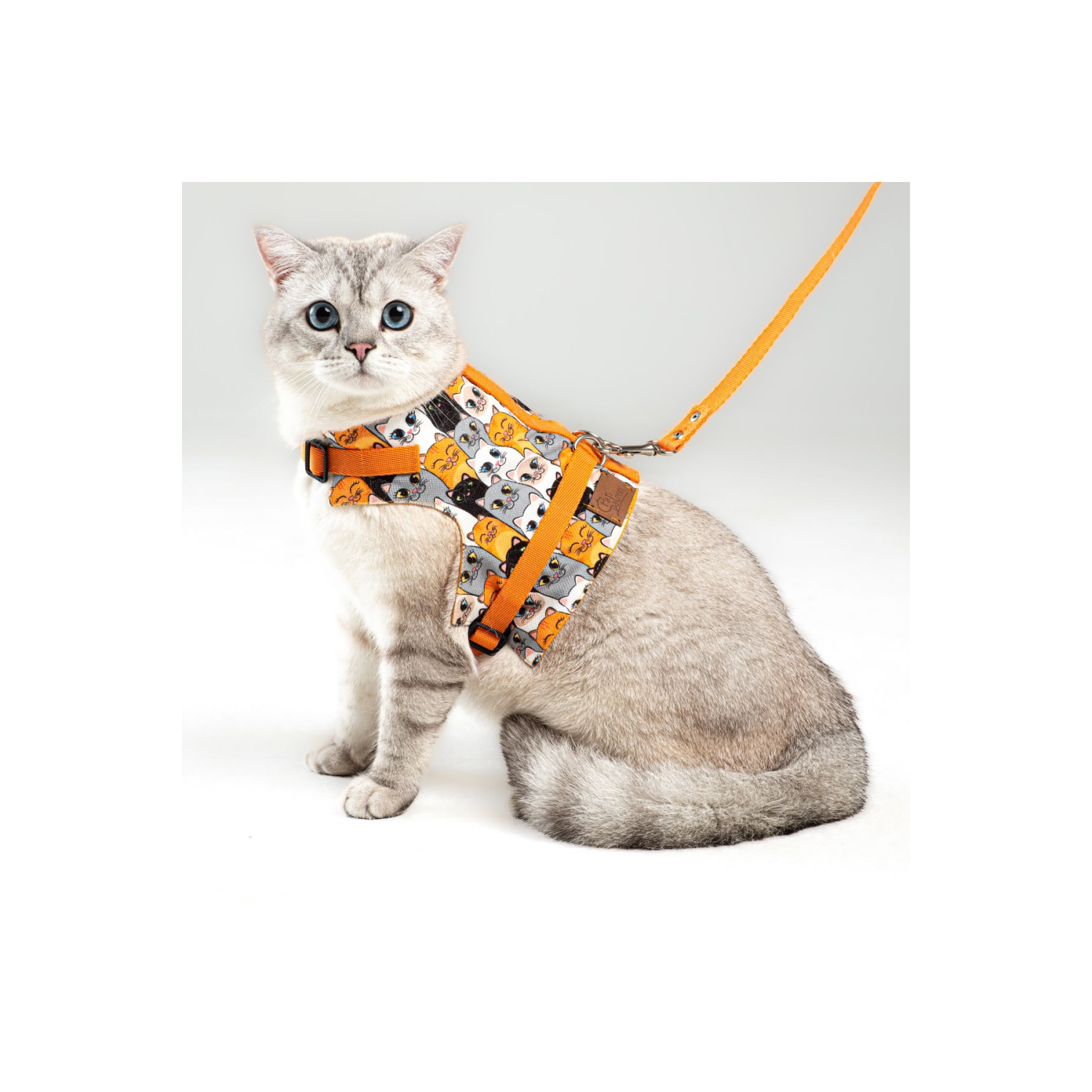 Kaçış Önleyici Kedi Gezdirme Tasması Ve Küçük Irk Köpek Gezdirme Tasması