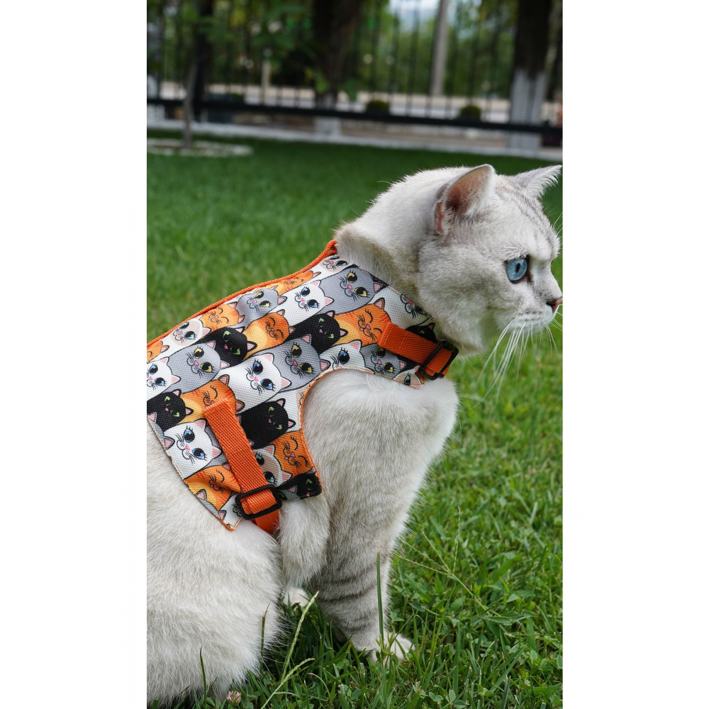 Kaçış Önleyici Kedi Gezdirme Tasması Ve Küçük Irk Köpek Gezdirme Tasması