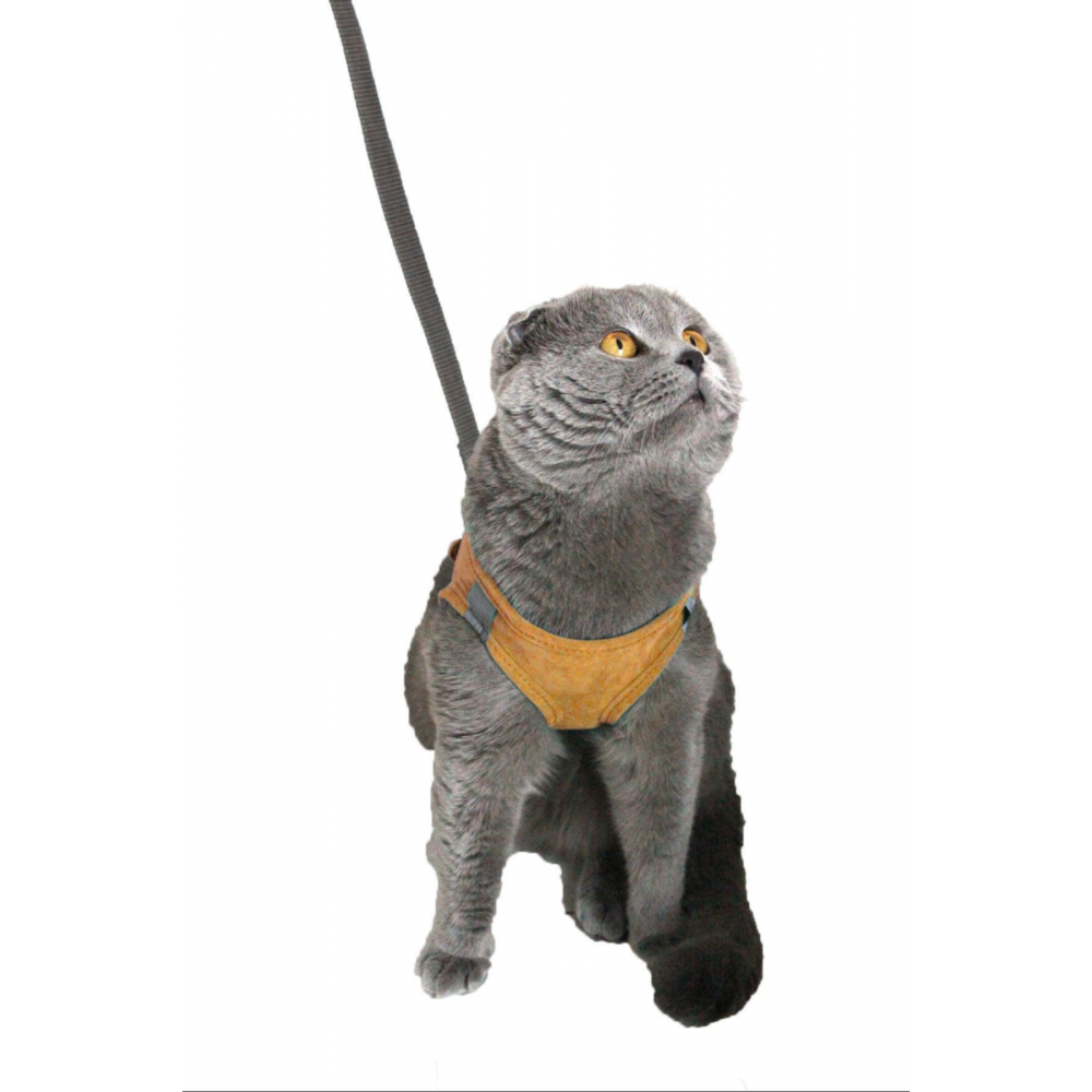 Kedi Gezdirme Tasması - Kedi Tasması Göğüs Tasma Seti Yumuşak Süet Kumaş Taba Renk