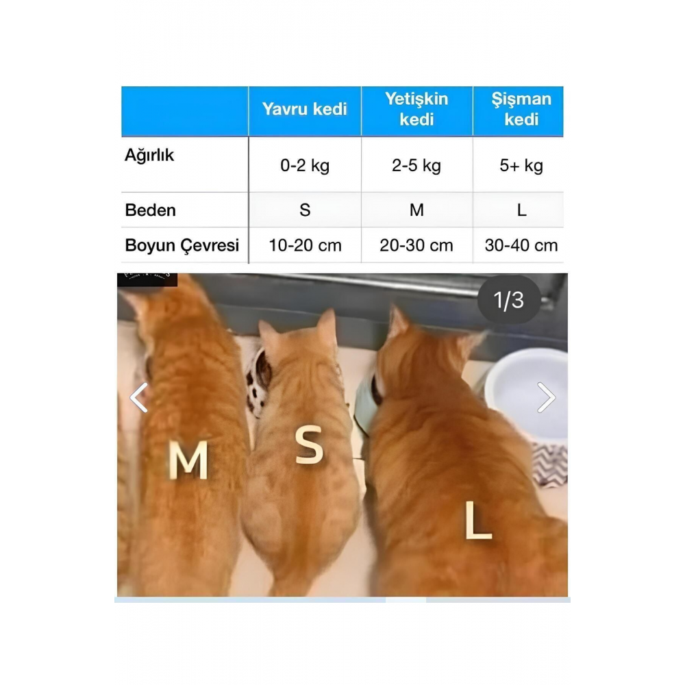 Kedi Isimlik Ve Tasma Seti, Kişiye Özel Isimlik