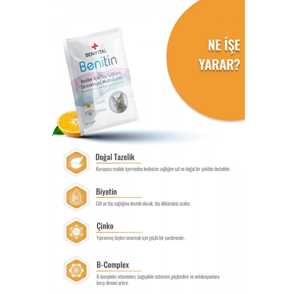 Benitin Kediler Için Tüy Sağlığı Destekleyici Multivitamin Kedi Tüy Dökümü Önleyici Damla Biyotin