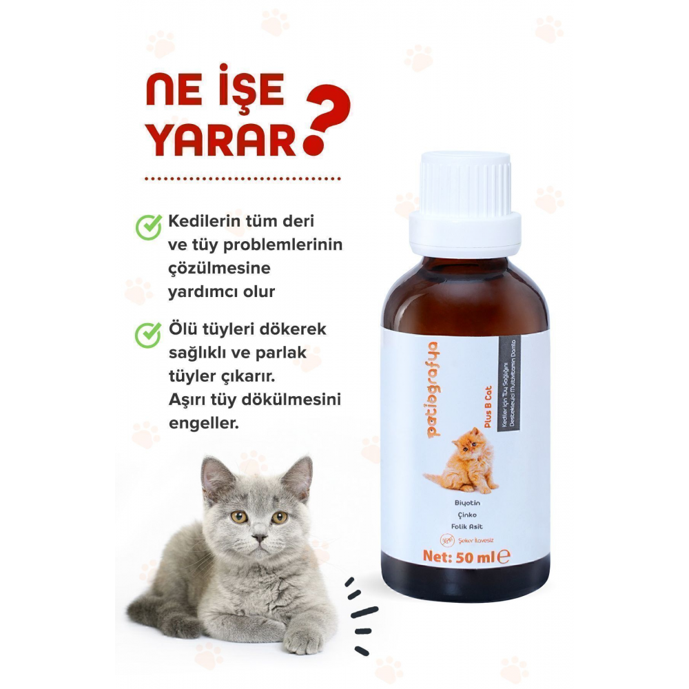 Plus B Kediler Için Tüy Dökümünü Azaltan, Besleyen Tüy Sağlığı Damlası 50 ml