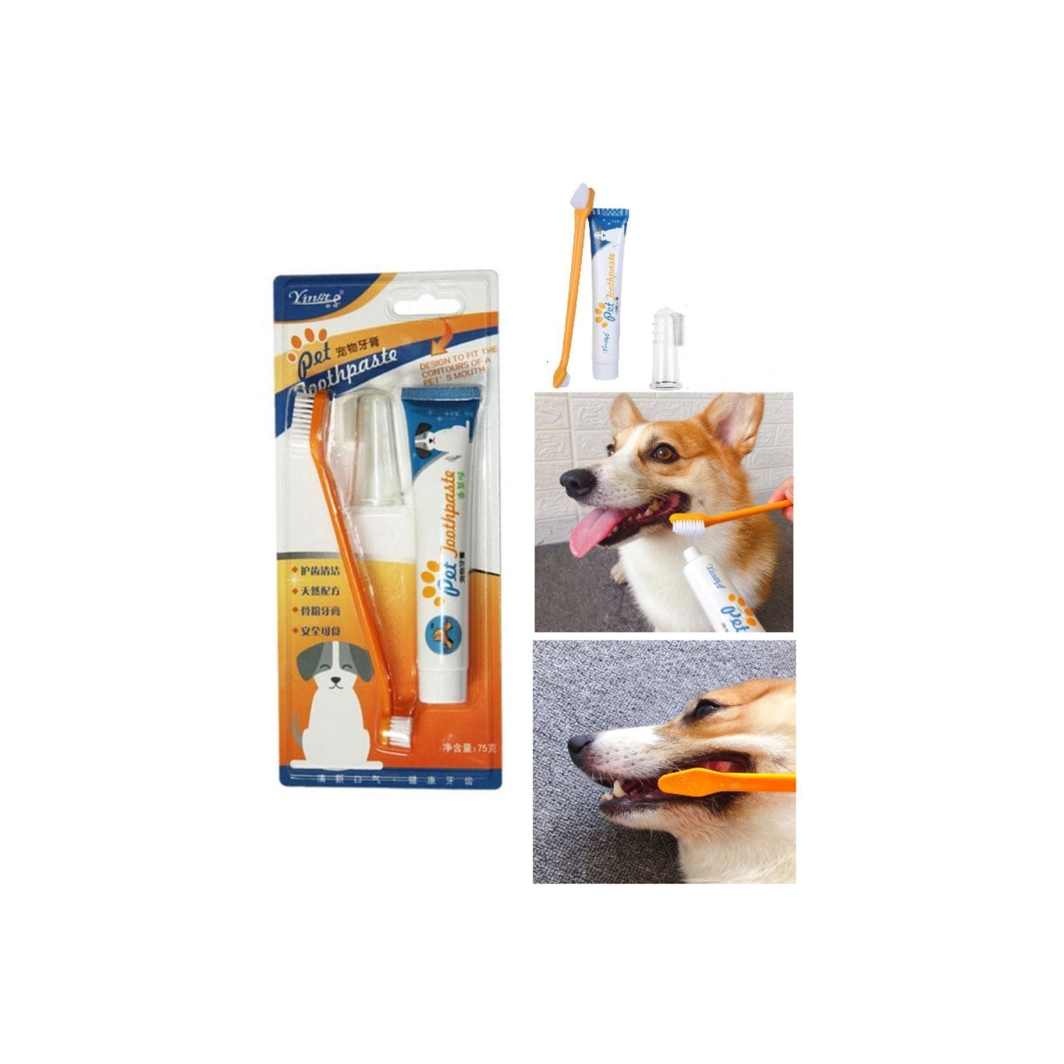 Kedi Köpek Diş Fırçası ve Diş Macunu Seti Yenilebilir Diş Macunu Dental Kit Ağız ve Diş Sağlık Seti