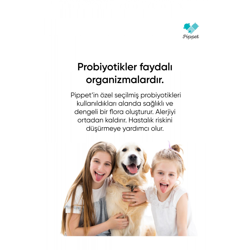 Probiyotik Kedi Köpek Ve Toz Akar Alerji Önleyici Sprey 300 ml