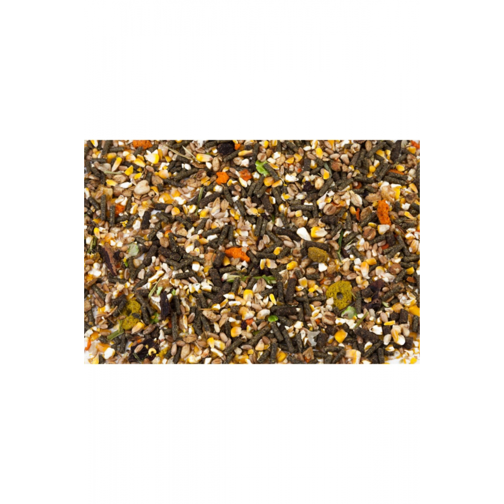 Hamster Yemi ; Meyveli Özel Karışım Yem 1 Kg