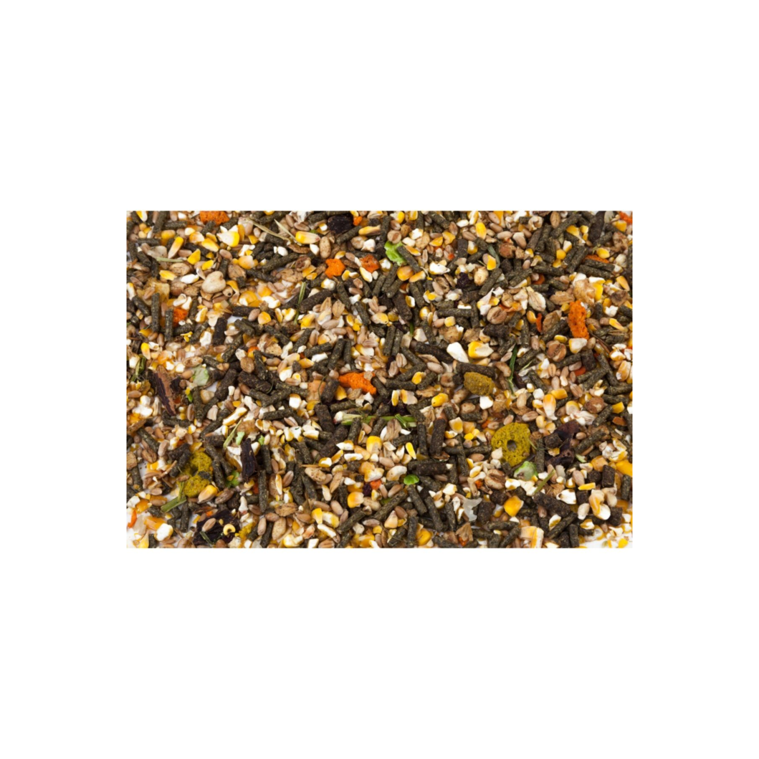 Hamster Yemi ; Meyveli Özel Karışım Yem 1 Kg