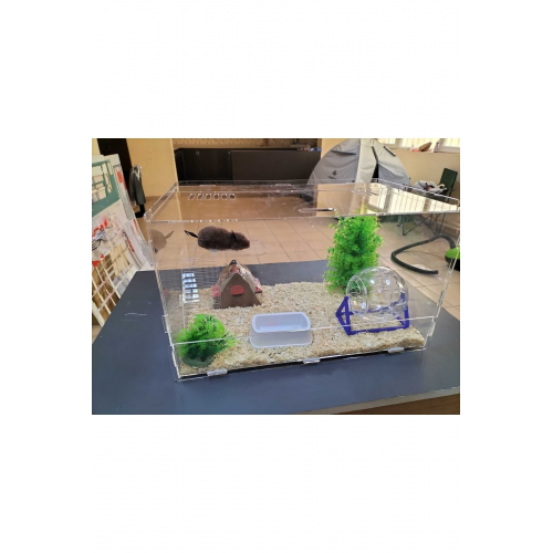 Hamster Kafesi Özel Tasarım Demonte Gelmektedir - Içindeki Ürünler Dahil Değildir.