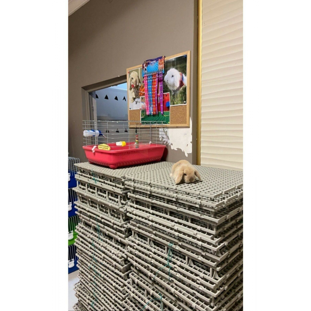 50x50 Ölçü Plastik Tavşan Kafesi Taban Izgarası [1 Adet]