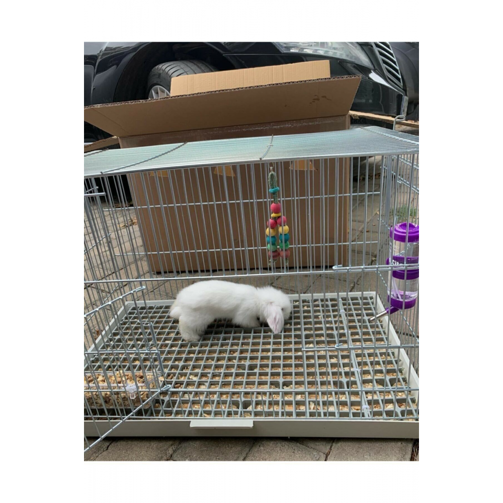 50x50 Ölçü Plastik Tavşan Kafesi Taban Izgarası [1 Adet]