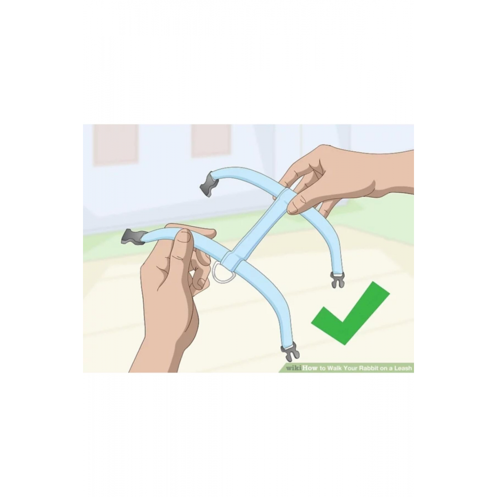 Hollanda Cüce Tavşan Tasması