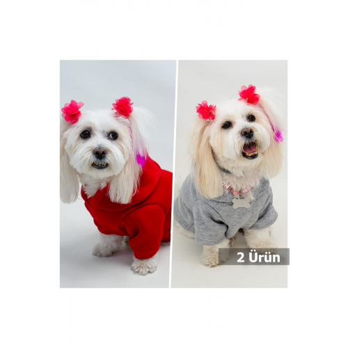 Kedi & Köpek Kıyafeti Elbiseleri Kıyafetleri - Baskısız Gri & Kırmızı 2'li Set Sweatshirt Hoodie