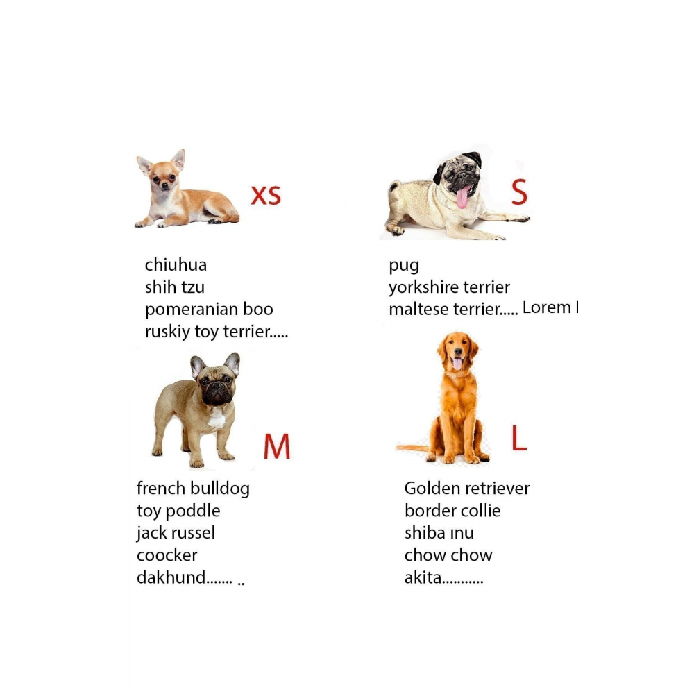 Köpek Ayakkabı Yumuşak Kapalı ve Açık Yürüyüş Koşu Eğitim Için 4 Adet