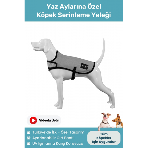 Uv Korumalı Köpek Serinleme Yeleği Ayarlanabilir Çift Katmanlı Kumaş Yazlık Serinletici Mont Yelek