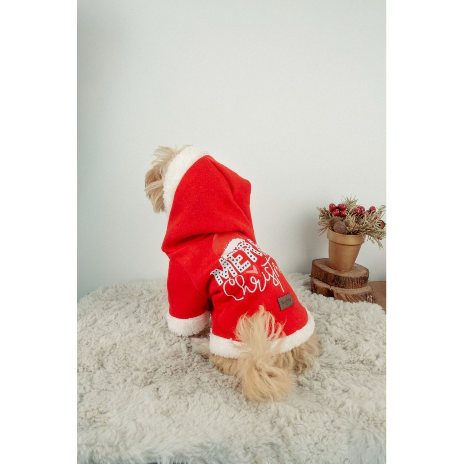 Yılbaşı Kıyafeti - Kedi Ve Köpekler Için Merry Christmas