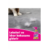 Kosla Pet Leke Çıkarıcı ve Koku Giderici Sprey 2x500 ml