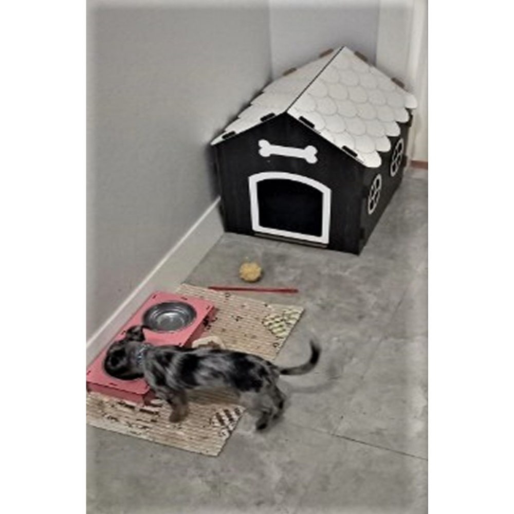 Süper Set Ahşap Dekoratif Köpek Evi-kulübesi Minder Ve Zincir Tasma (beyaz-rebab)