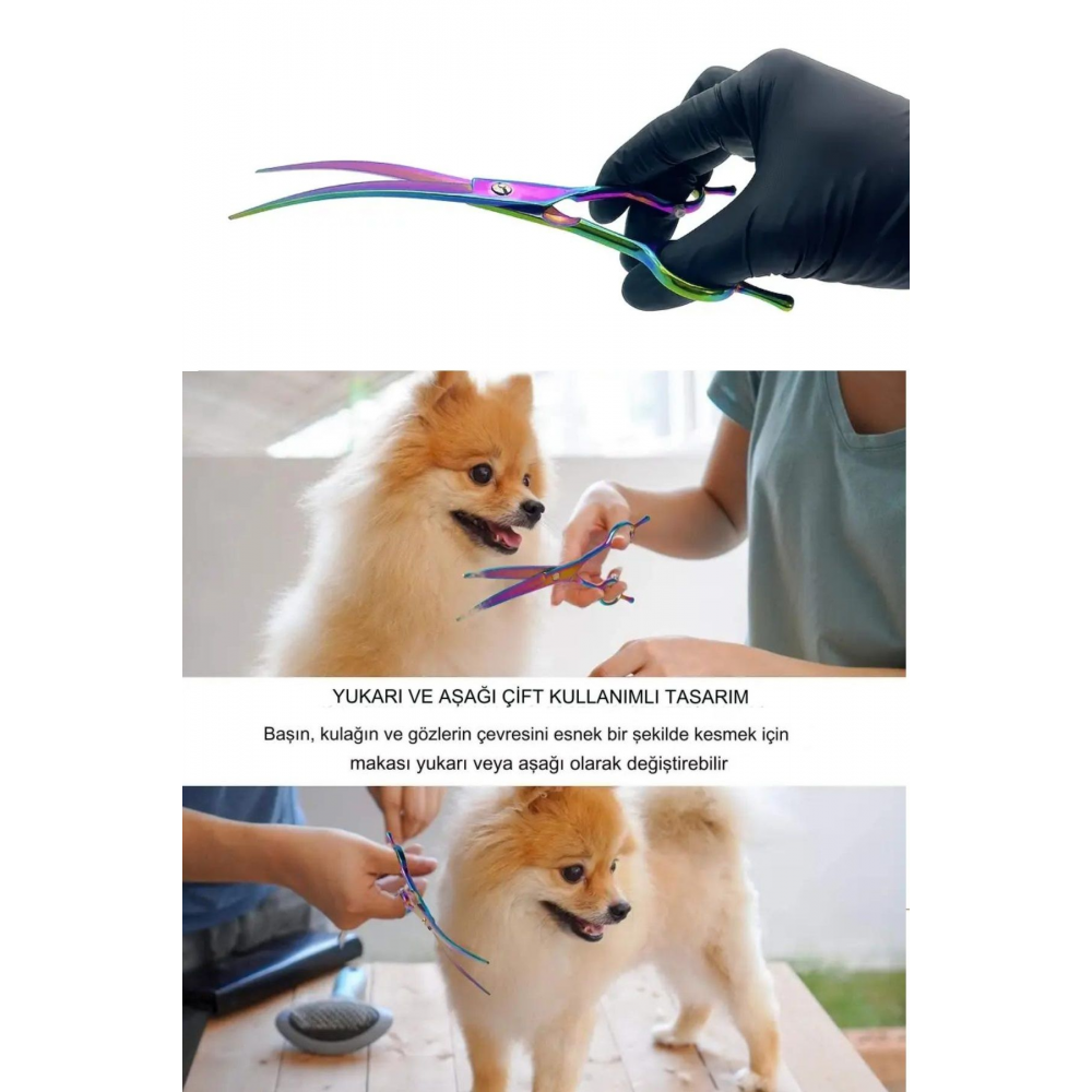 Kavisli Rainbow Petshop Kuaför Kedi Köpek Evcil Hayvan Makası Saç Şekil Verme Makası Xlq510