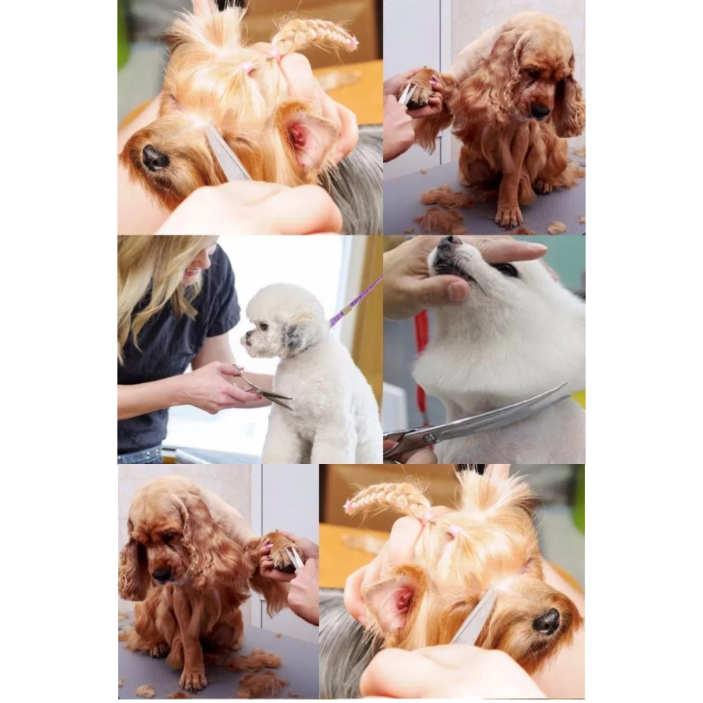 Kavisli Rainbow Petshop Kuaför Kedi Köpek Evcil Hayvan Makası Saç Şekil Verme Makası Xlq510