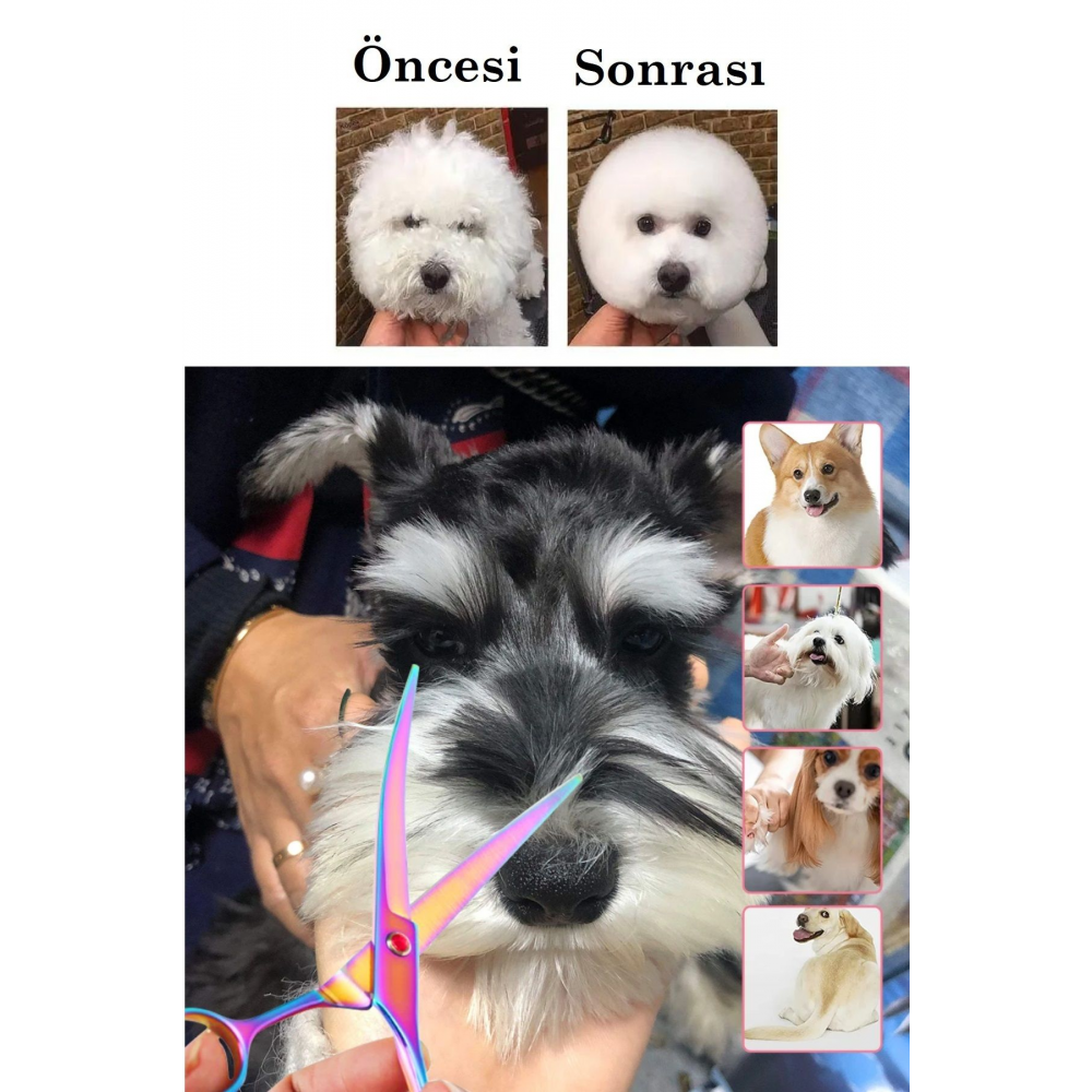 Kavisli Rainbow Petshop Kuaför Kedi Köpek Evcil Hayvan Makası Saç Şekil Verme Makası Xlq510