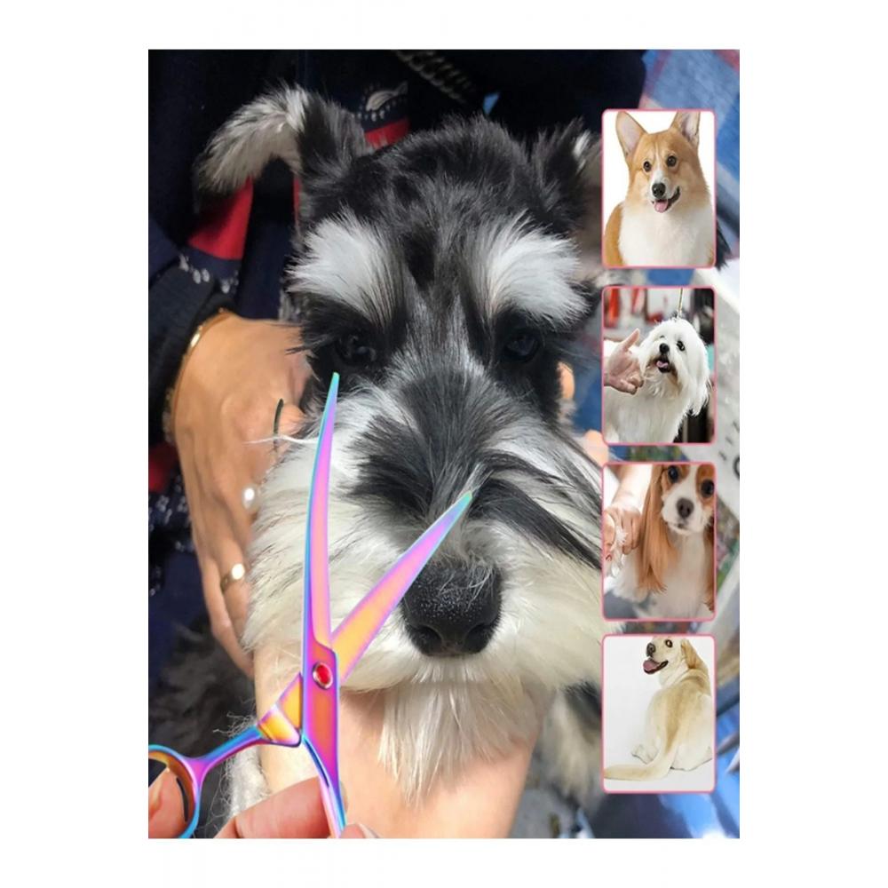 Rainbow Petshop Kuaför Kedi Köpek Evcil Hayvan Makas Seti 5 Parça Çantalı