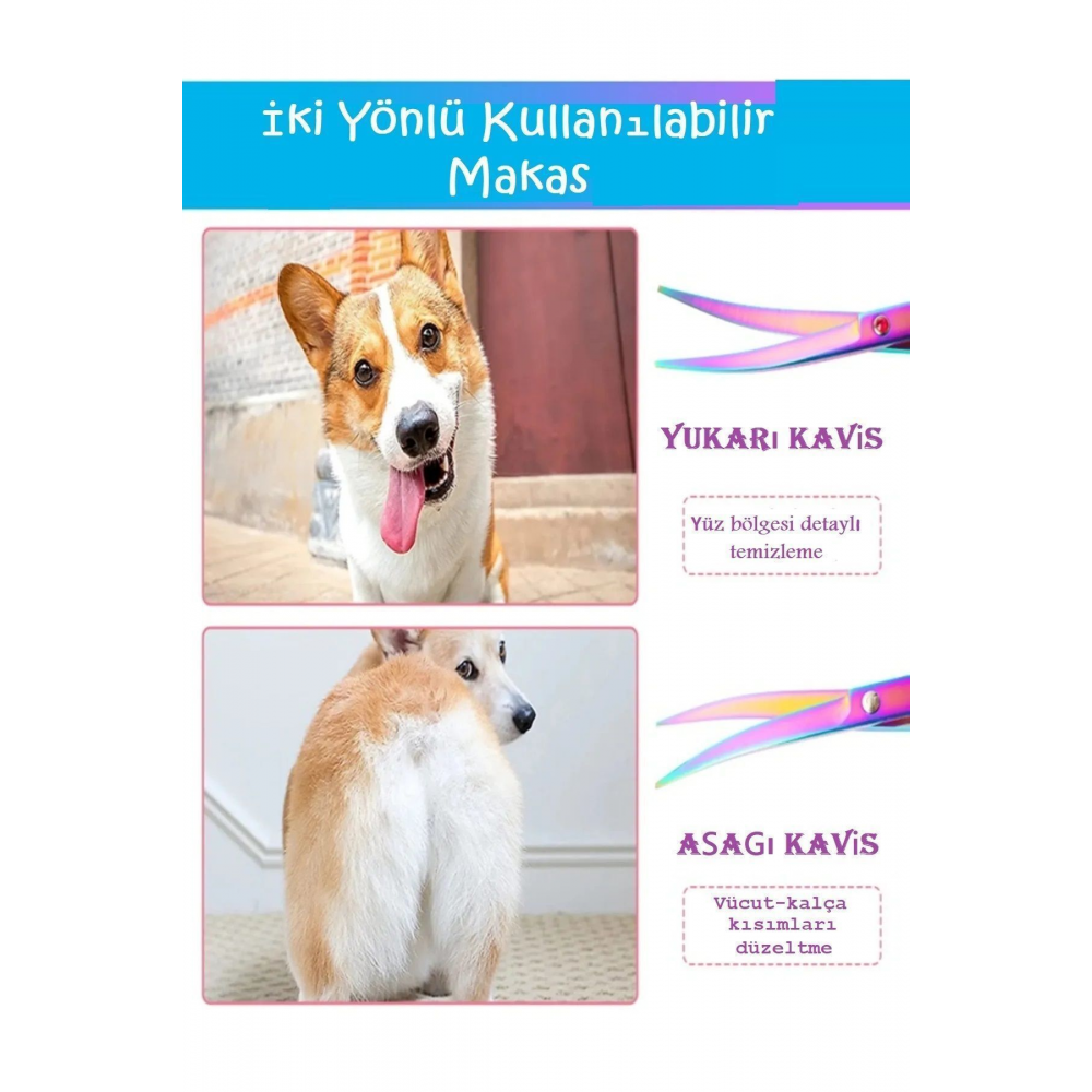 Rainbow Petshop Kuaför Kedi Köpek Evcil Hayvan Makas Seti 5 Parça Çantalı