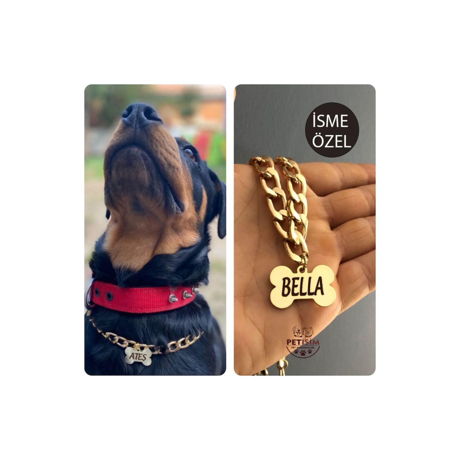 Isimli Köpek Tasması Köpek Isimlik Künye Zincir Paslanmaz