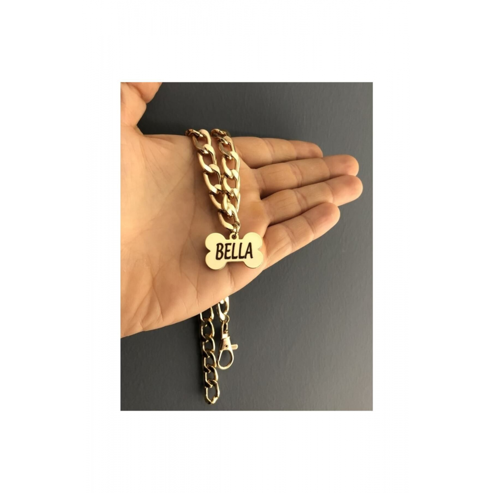 Isimli Köpek Tasması Köpek Isimlik Künye Zincir Paslanmaz