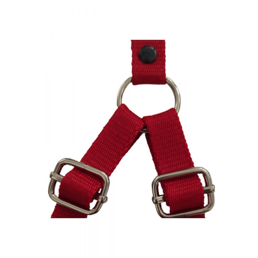 Köpek Göğüs Tasması Gezdirme Ipi Boyun Tasmsı Small Kırmızı Küçük Irklar Için 25-40 Cm