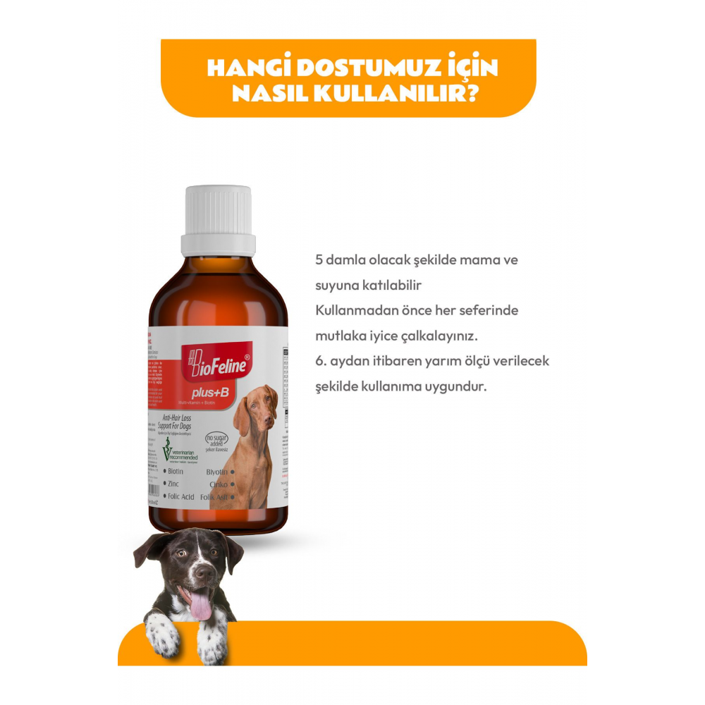 Köpekler Için Plus B Damla 50ml (KÖPEKLER İÇİN TÜY DÖKÜLMESİ ENGELLEYİCİ BİOTİN TÜY SAĞLIĞI DAMLASI)