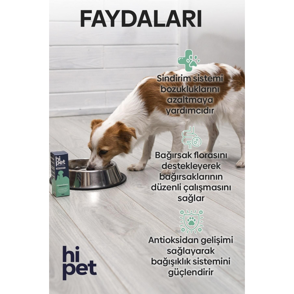 Sıvı Probiyotik Köpek Probiyotik 50 ml