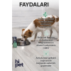 Sıvı Probiyotik Köpek Probiyotik 50 ml