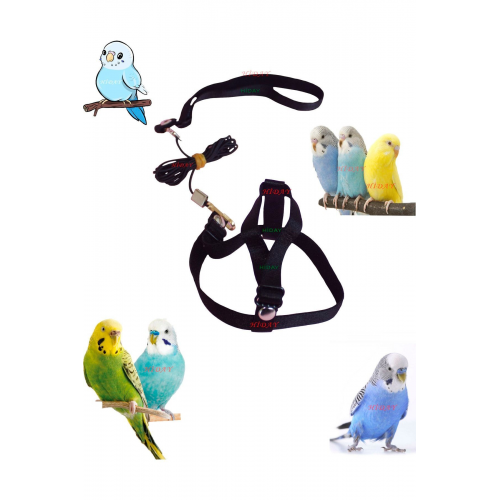 Muhabbet Kuşu Tasması Cennet Papağanı Tasması (SİYAH)