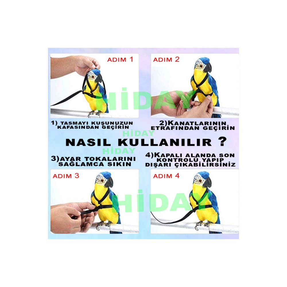 Sultan Papağan Tasması (SİYAH)