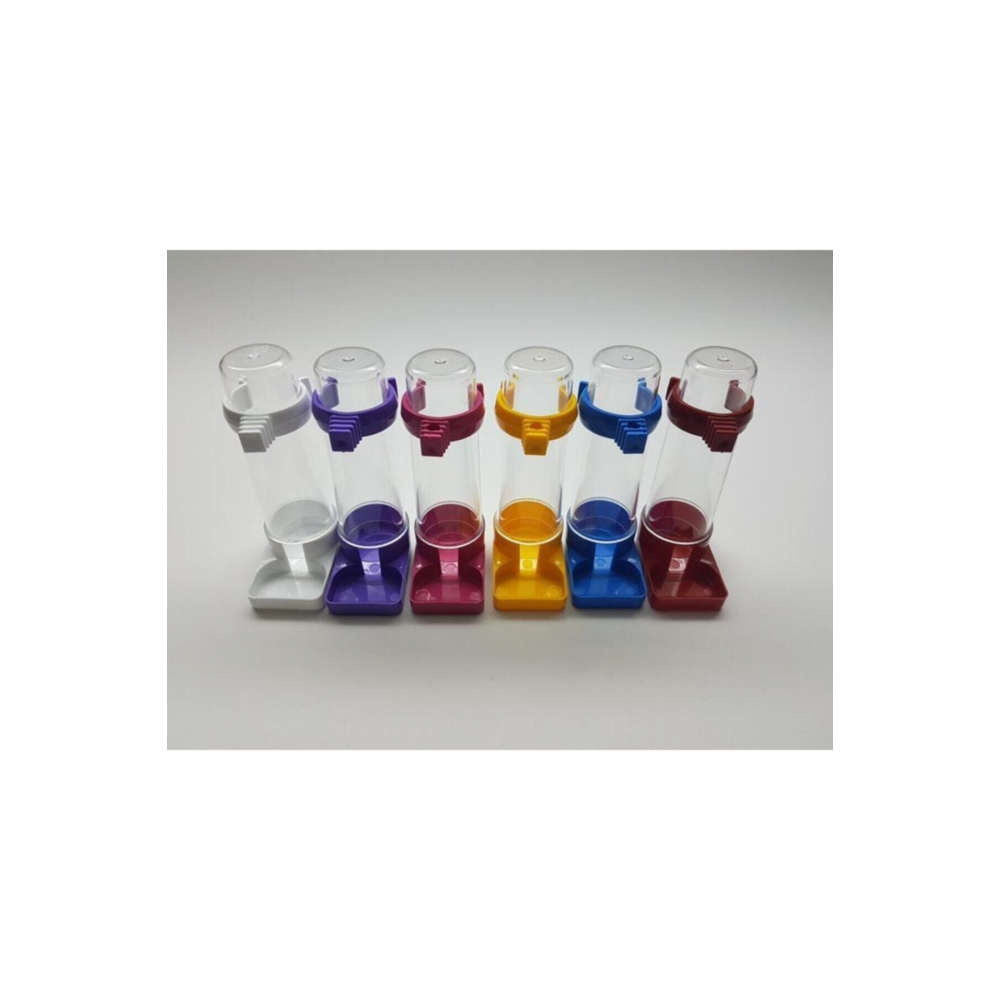 Muhabbet Suluğu Renkli