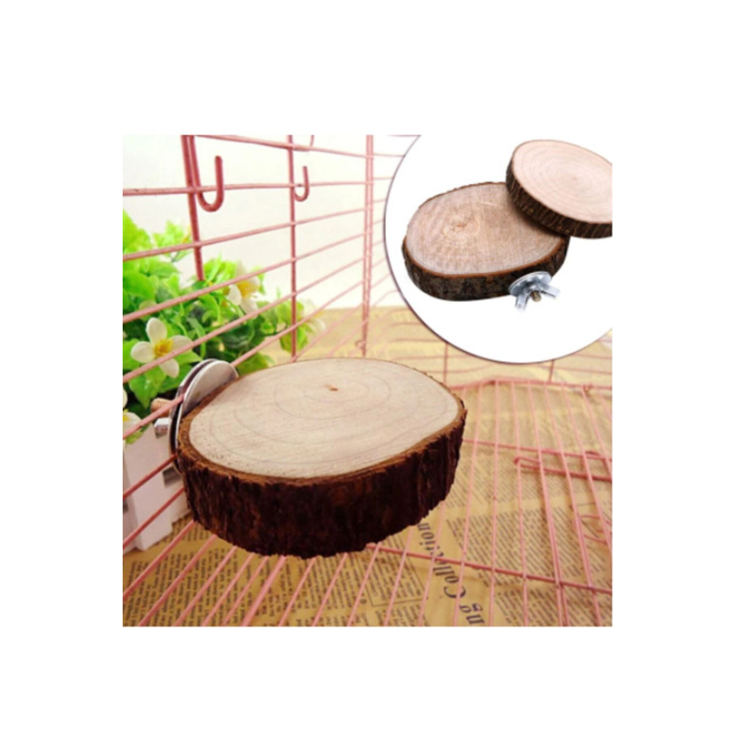 Ağaç Dilim Kuş Tüneği