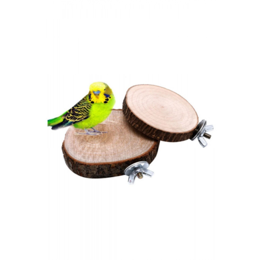 Ağaç Dilim Kuş Tüneği