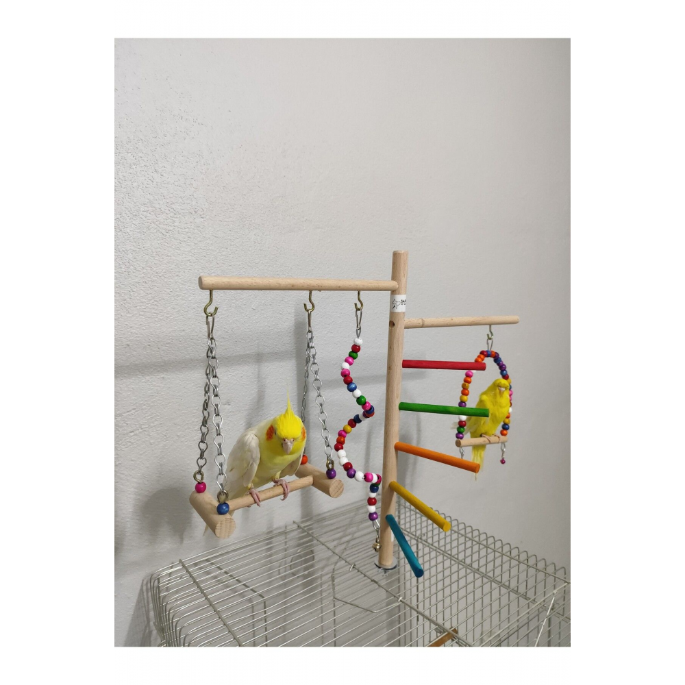 Muhabbet Kuşu Sultan Papağanı Kafes Üstü Tünekli Dev Kuş Eğlence Platformu