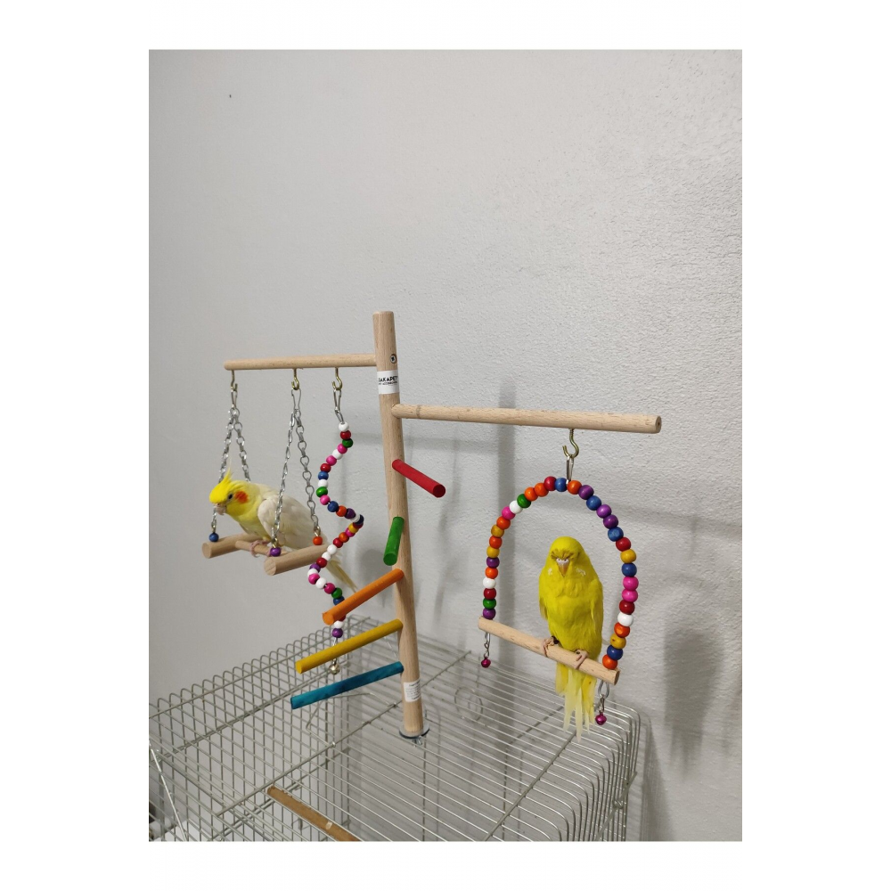 Muhabbet Kuşu Sultan Papağanı Kafes Üstü Tünekli Dev Kuş Eğlence Platformu