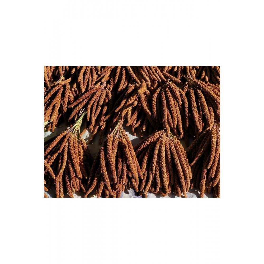 Kızıl Dal Darı (yeni Mahsul) 1. Kalite 500 Gr